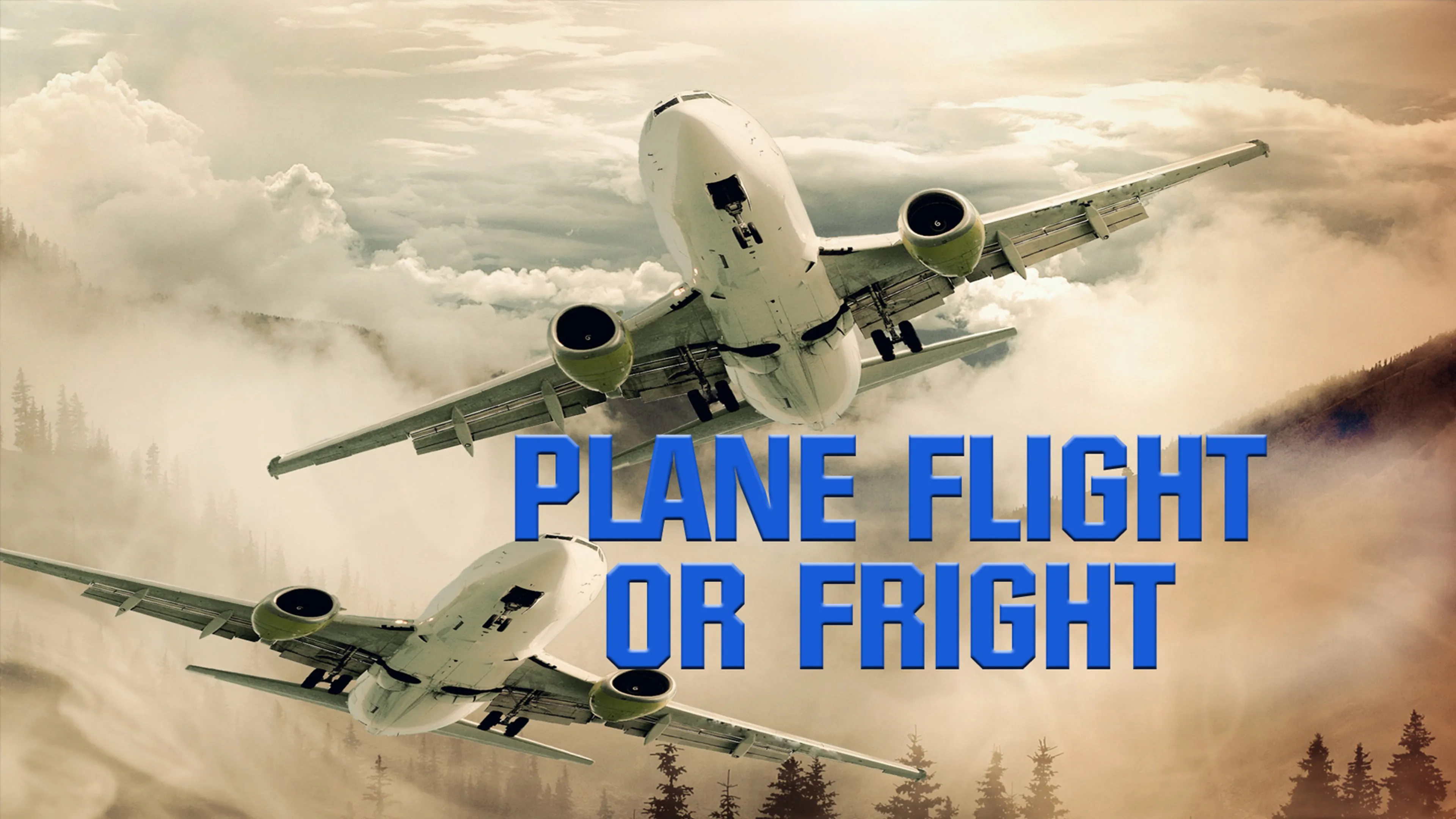 Plane Flight or Fright poster